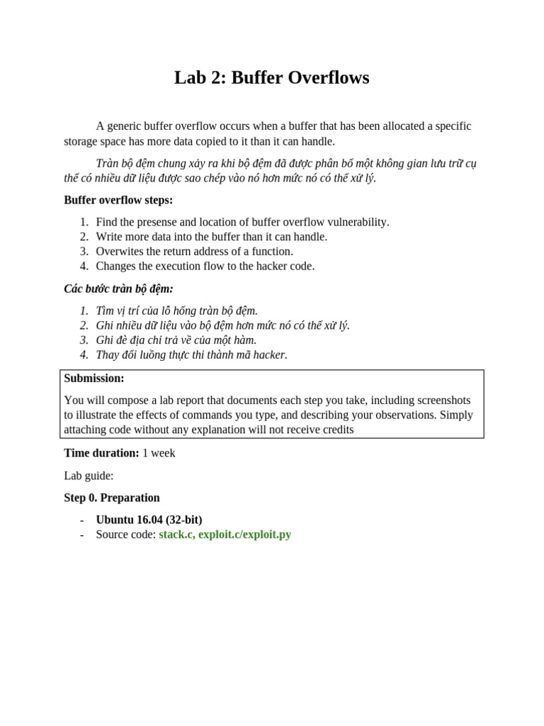 Lab2 Bufer Overflows | PDF