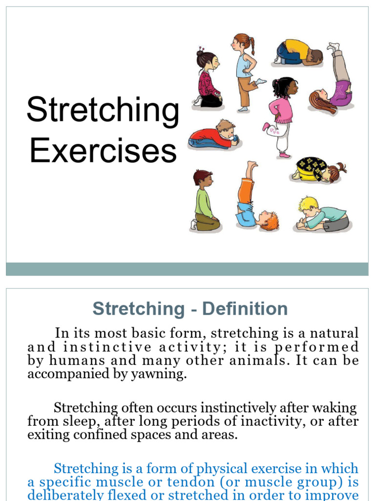 Essential Stretching Exercises Guide | PDF | Flexibility (Anatomy ...