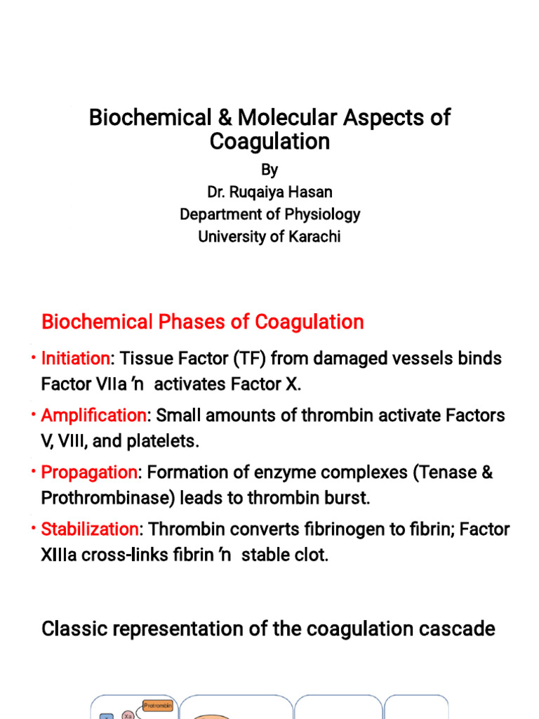 Coagulation Biochemistry Overview | PDF | Coagulation | Blood