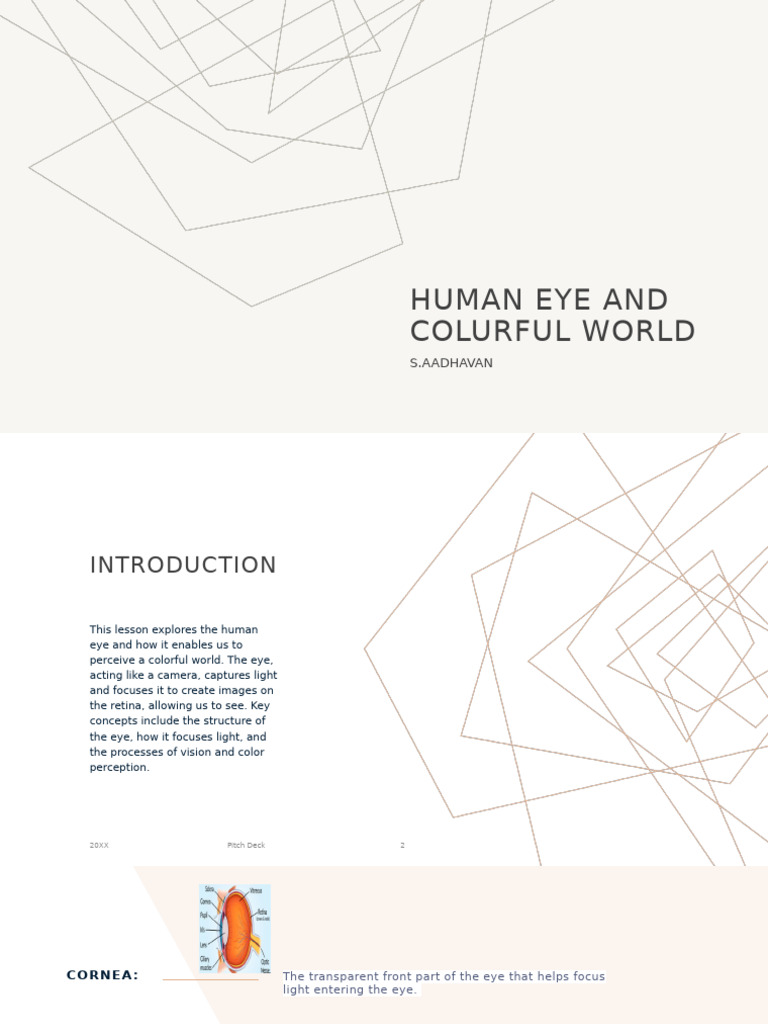 Human Eye: Vision and Color Perception | PDF | Sunset | Rainbow