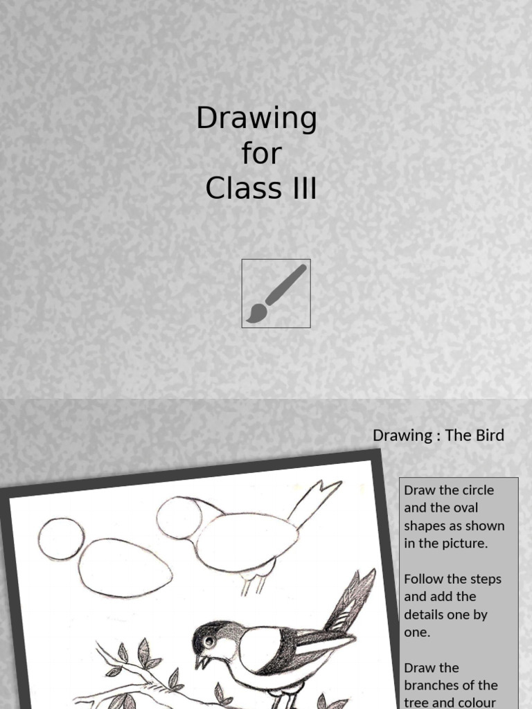 Class III Bird Drawing Guide | PDF