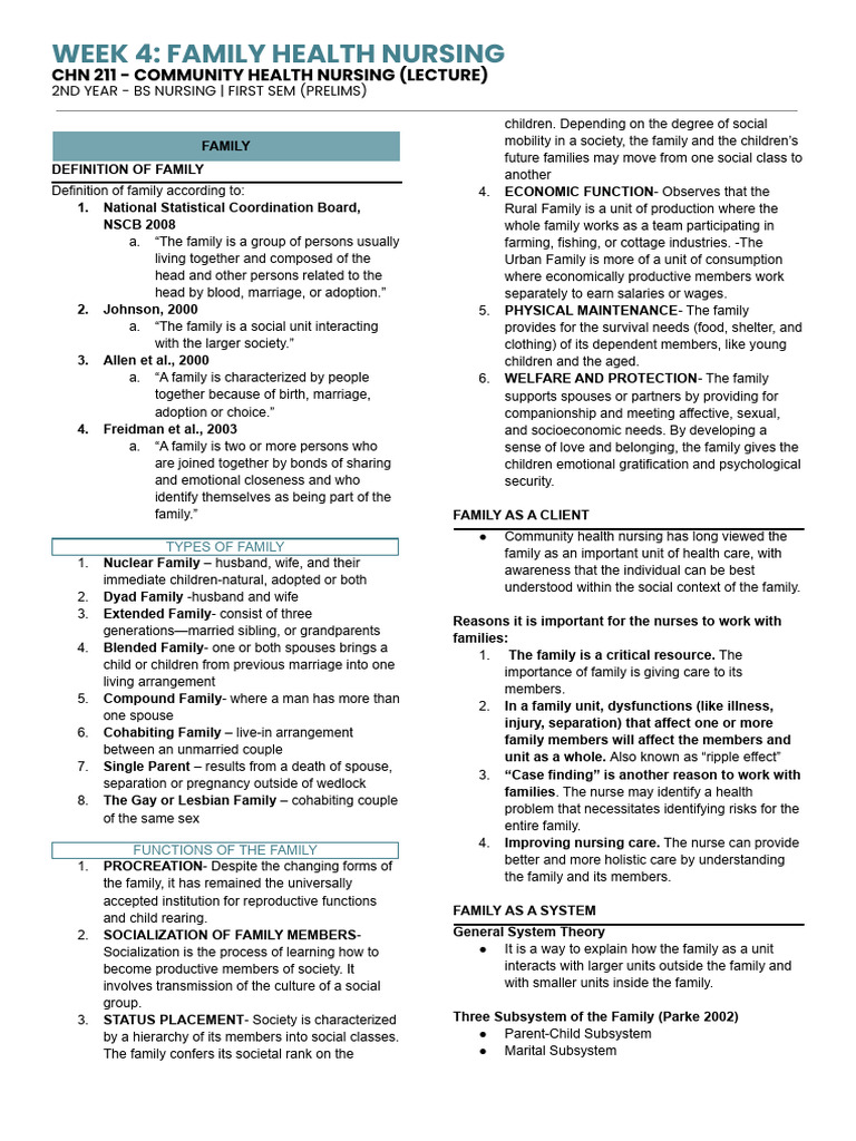 Family Health Nursing Overview | PDF | Family | Parenting