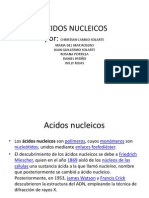 Acidos Nucleicos