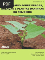 Pragas e doenças feijoeiro