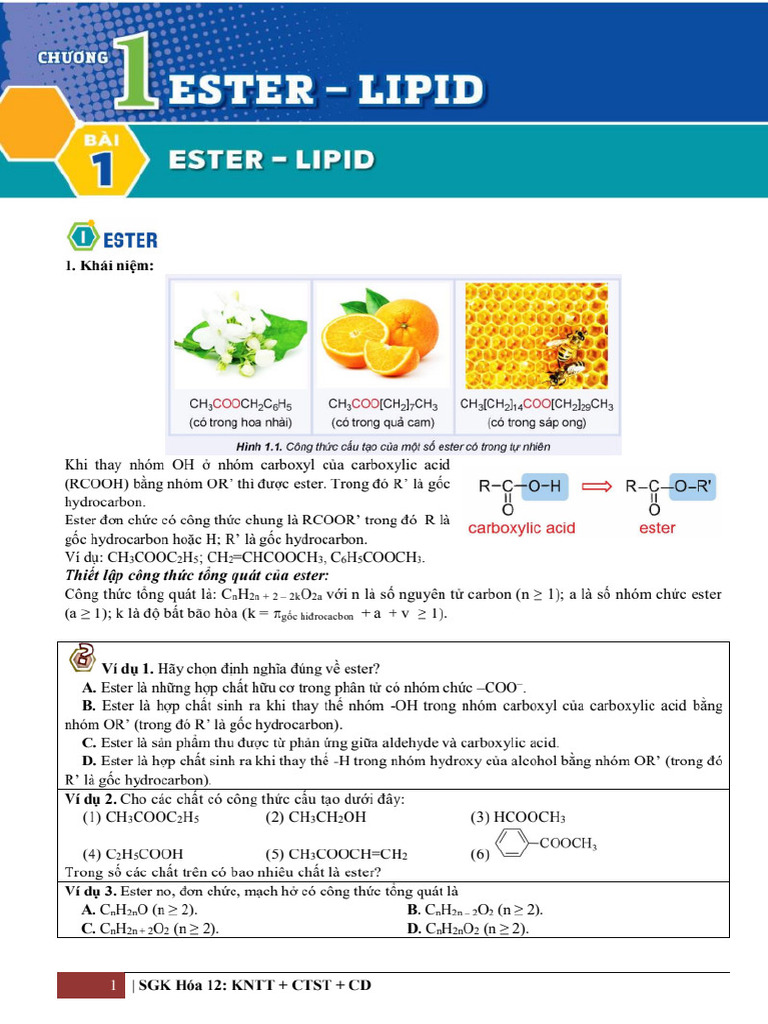 Bai 1 Ester Lipid Hs Fix 1600 PDF.gdrive.vip | PDF