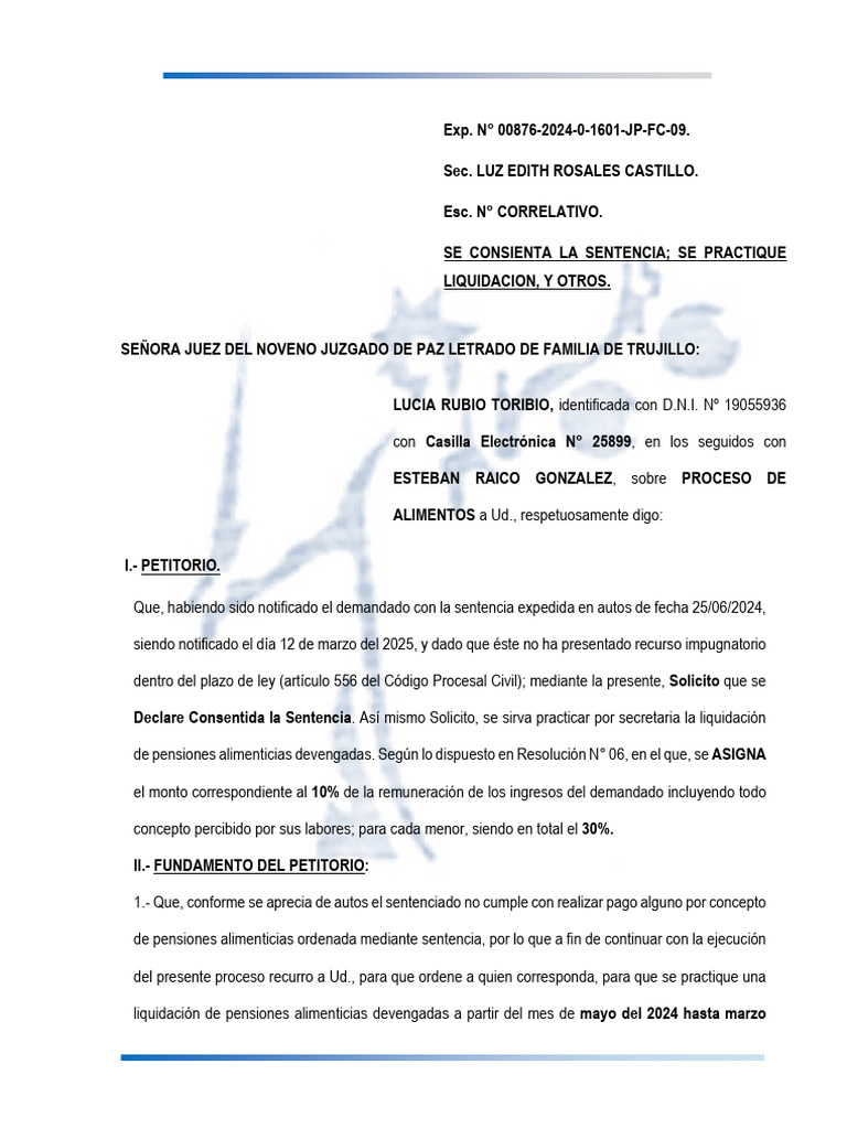 Se Consienta La Sentencia Se Practique Liquidacion, y Otros | PDF