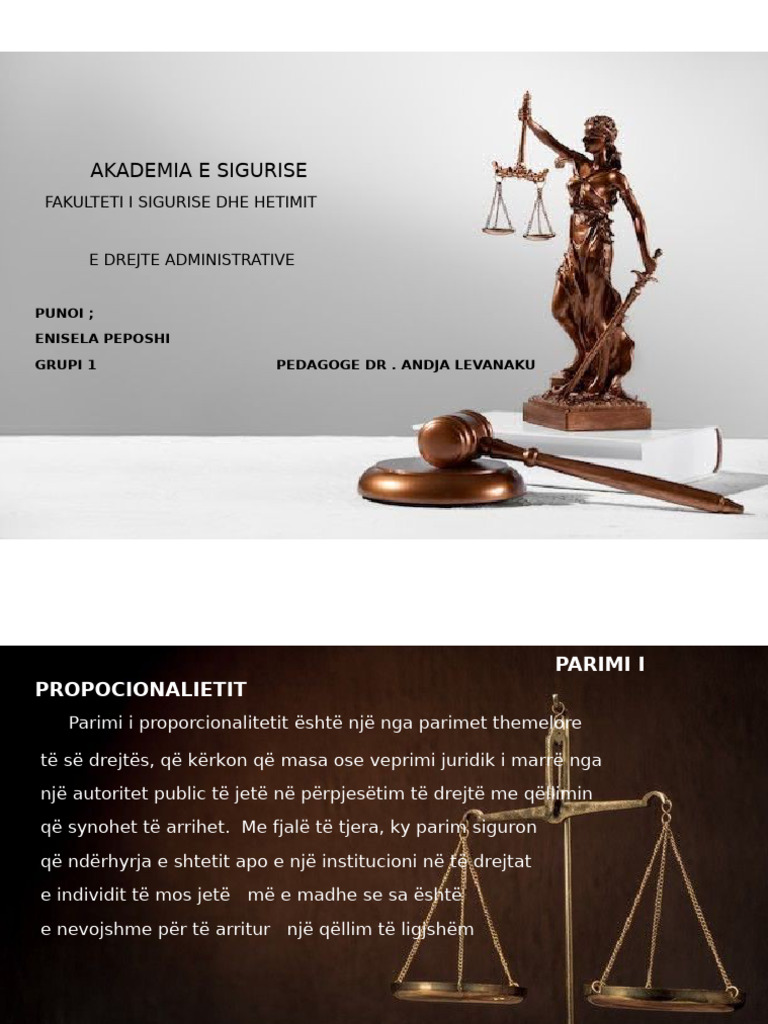Akademia e Sigurise Parimi Propocionalitetit | PDF