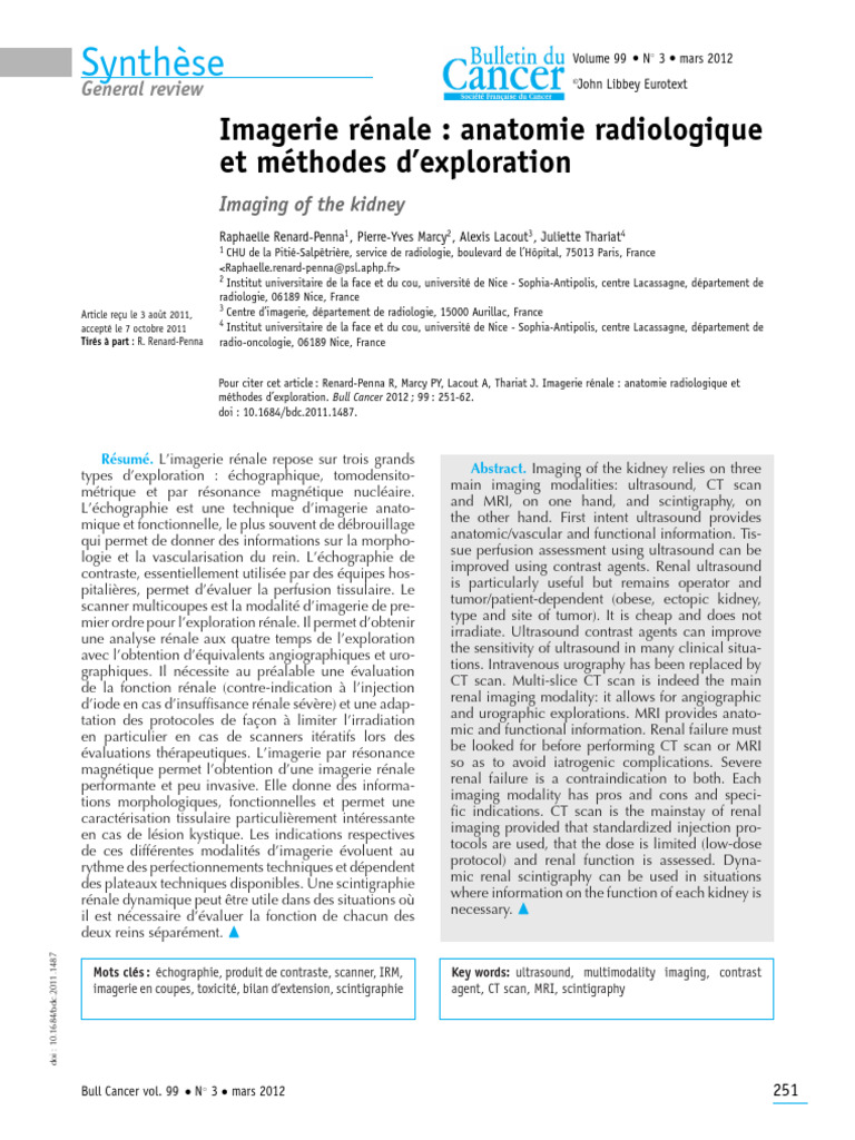 Imagerie rénale : techniques et méthodes | PDF | Tomodensitométrie ...