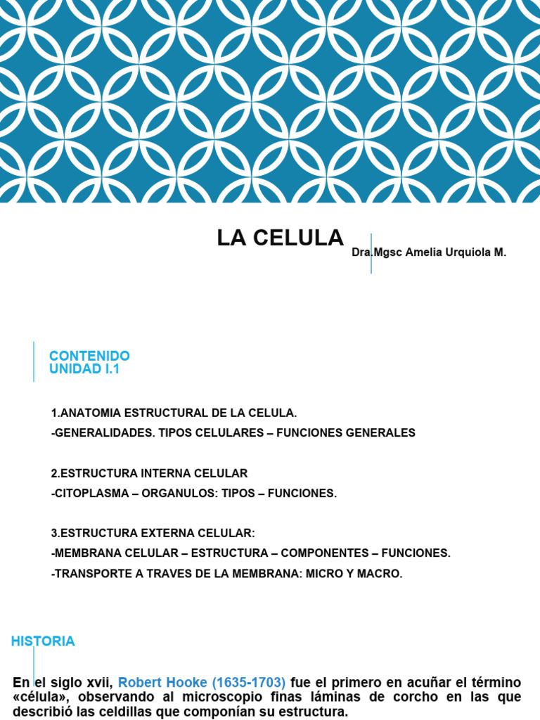 Anatomía y Funciones de la Célula | PDF | Membrana celular | Citoplasma