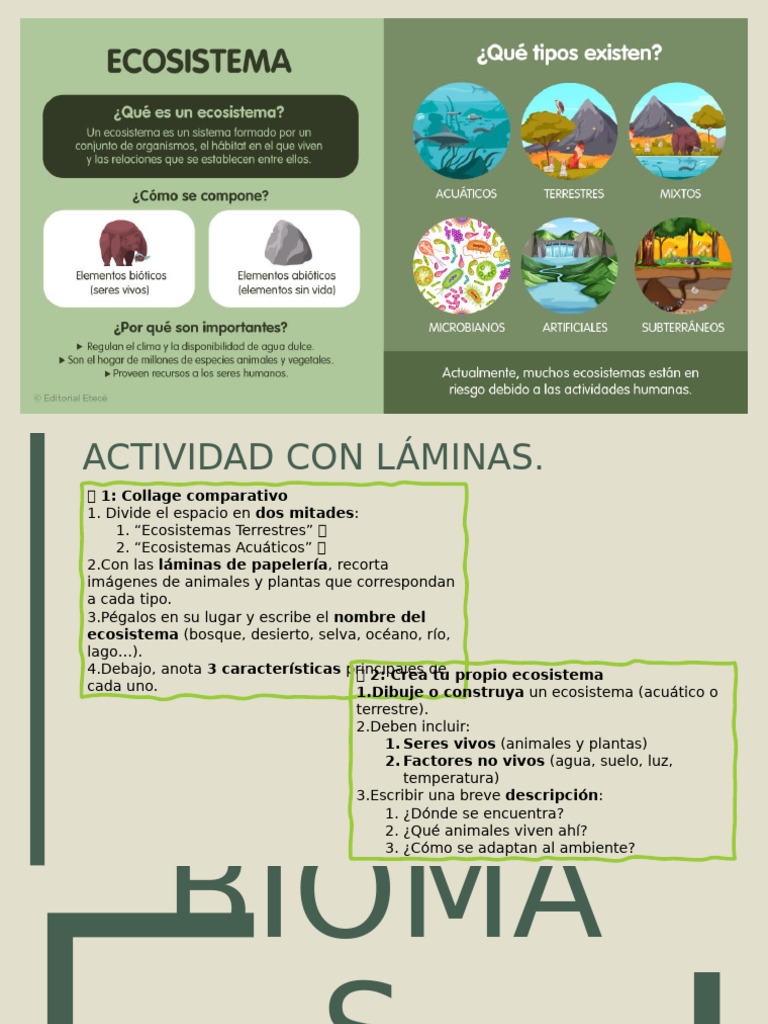 Actividades sobre Biomas y Ecosistemas | PDF | Ecosistema | Selva