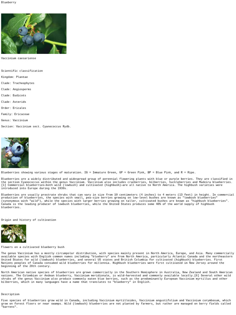 Blueberry Varieties and Cultivation Guide | PDF | Blueberry