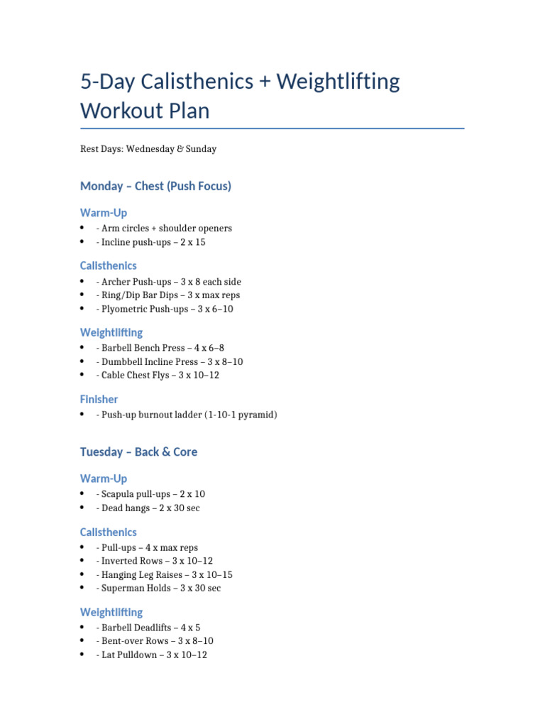 5-Day Workout Plan | PDF