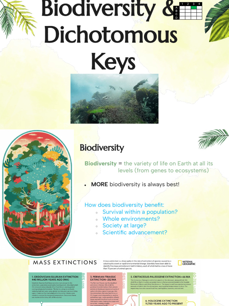 Understanding Biodiversity & Keys | PDF | Biodiversity | Anthropocene