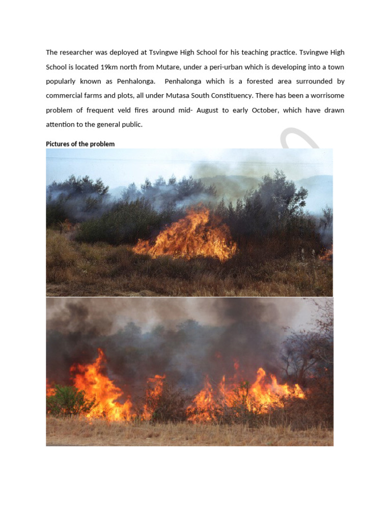 Veld Fire Causes and Solutions in Tsvingwe | PDF | Fires | Wildfire