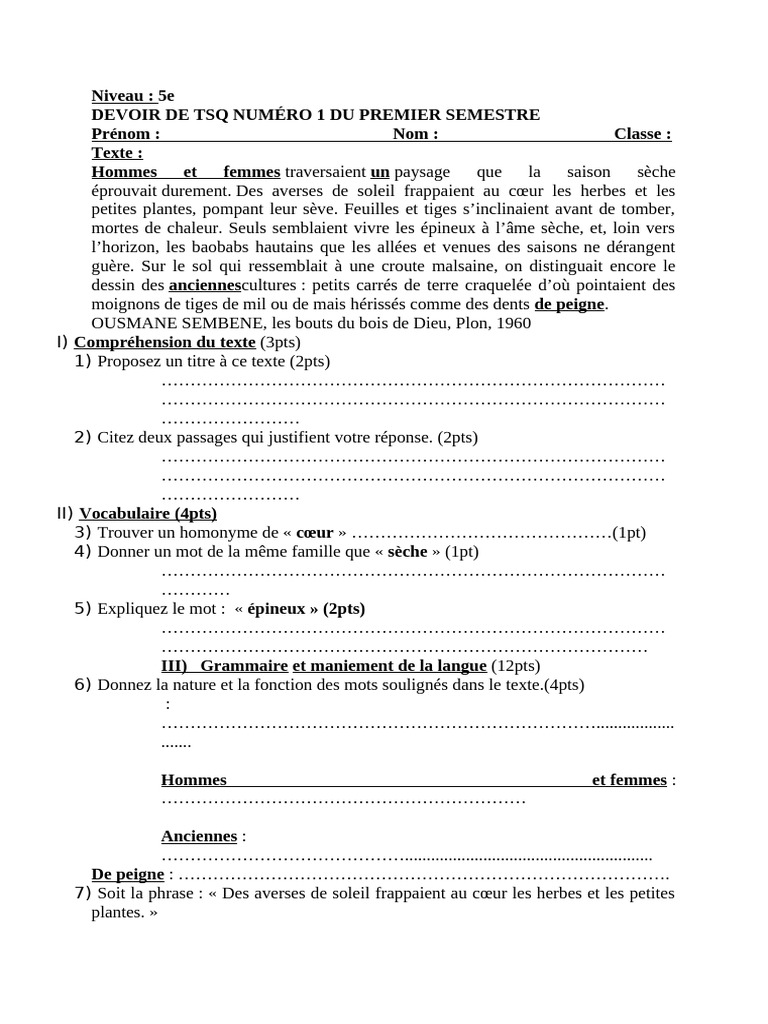 Devoir de TSQ : Analyse de texte 5e | PDF | Phrase | Interprétation ...