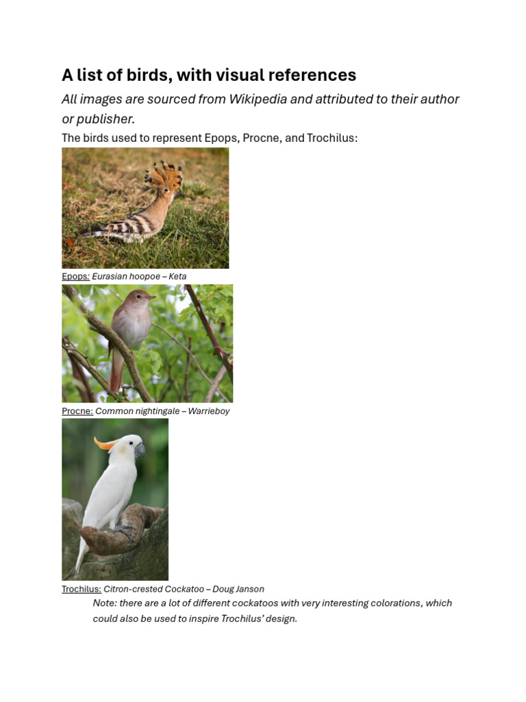 Visual Guide to Notable Birds | PDF