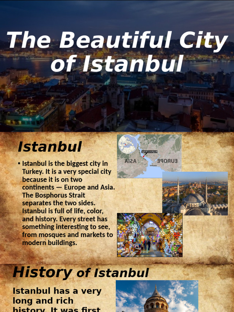 Discover Istanbul: History & Culture | PDF