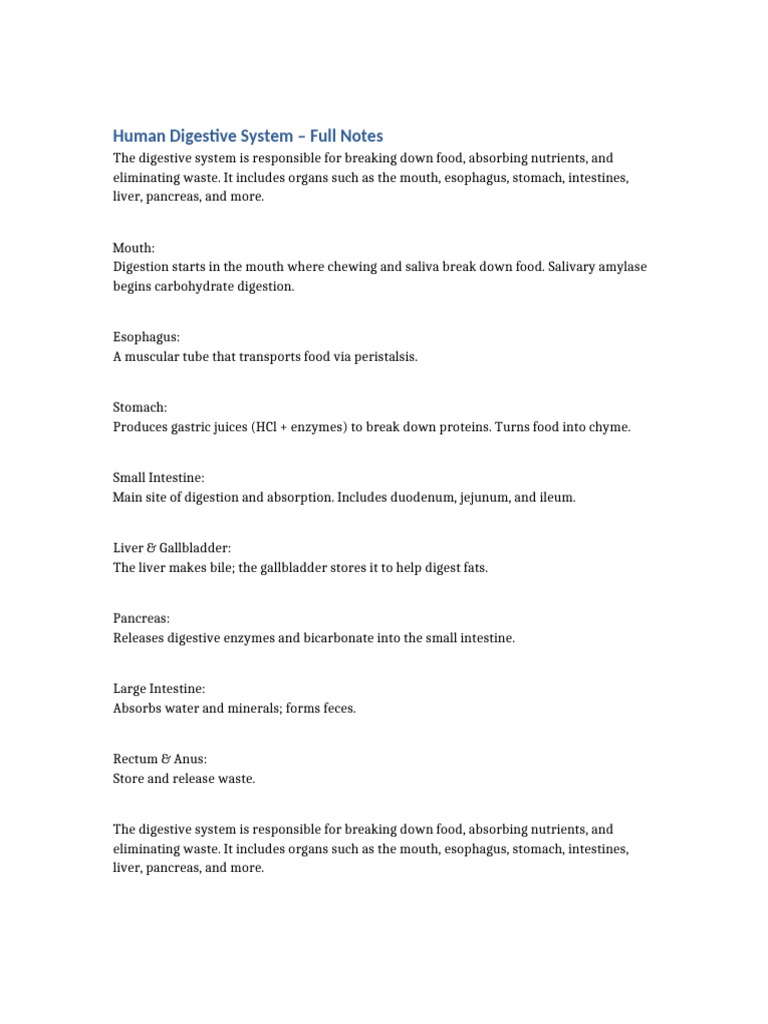 Overview of the Human Digestive System | PDF | Digestion | Human ...