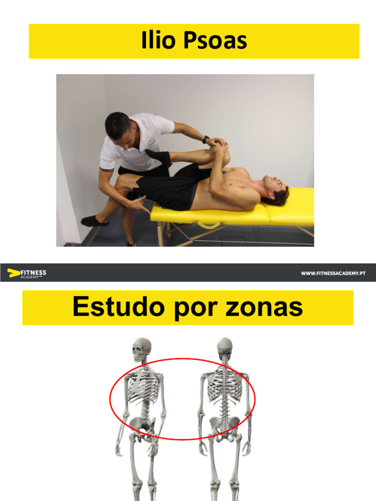 Anatomia e Funções da Coluna Vertebral | PDF | Vértebra | Sistema ...