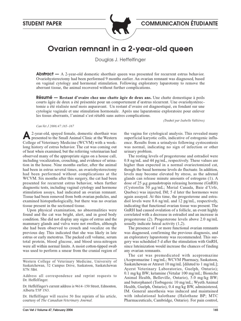 Ovarian Remnant in Spayed Cat Case Study | PDF | Ovary | Luteinizing ...