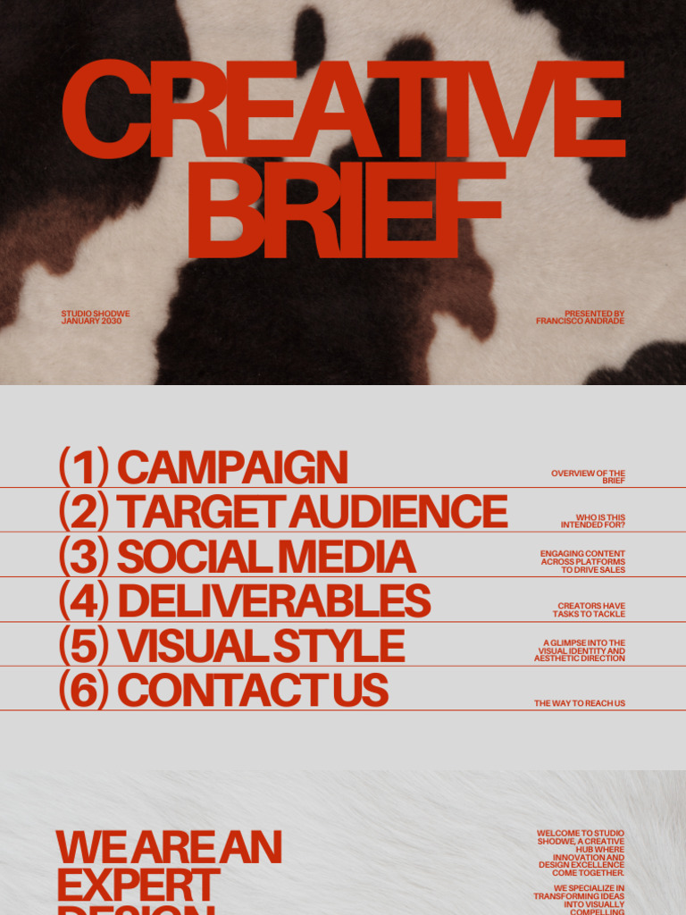 Creative Campaign Brief for Studio Shodwe | PDF | Social Media ...