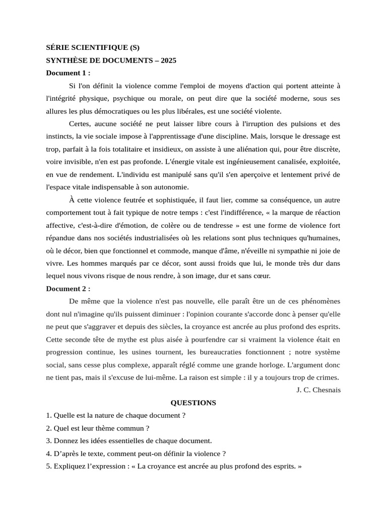 SYNTHÈSE DE DOCUMENTS 2025 | PDF | La violence