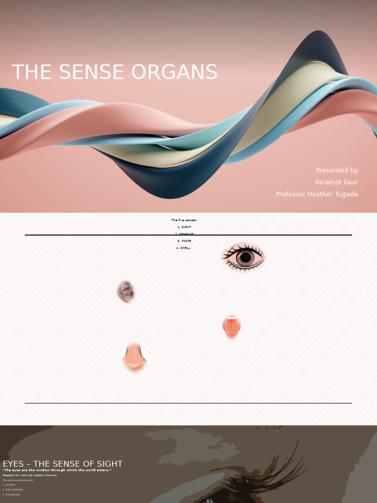 Understanding Human Sense Organs | PDF | Ear | Senses
