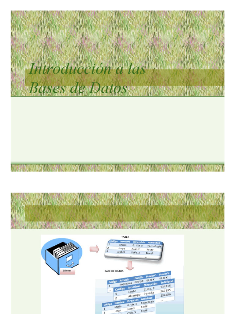 Introducción a Bases de Datos y DBMS | PDF | Bases de datos | Datos