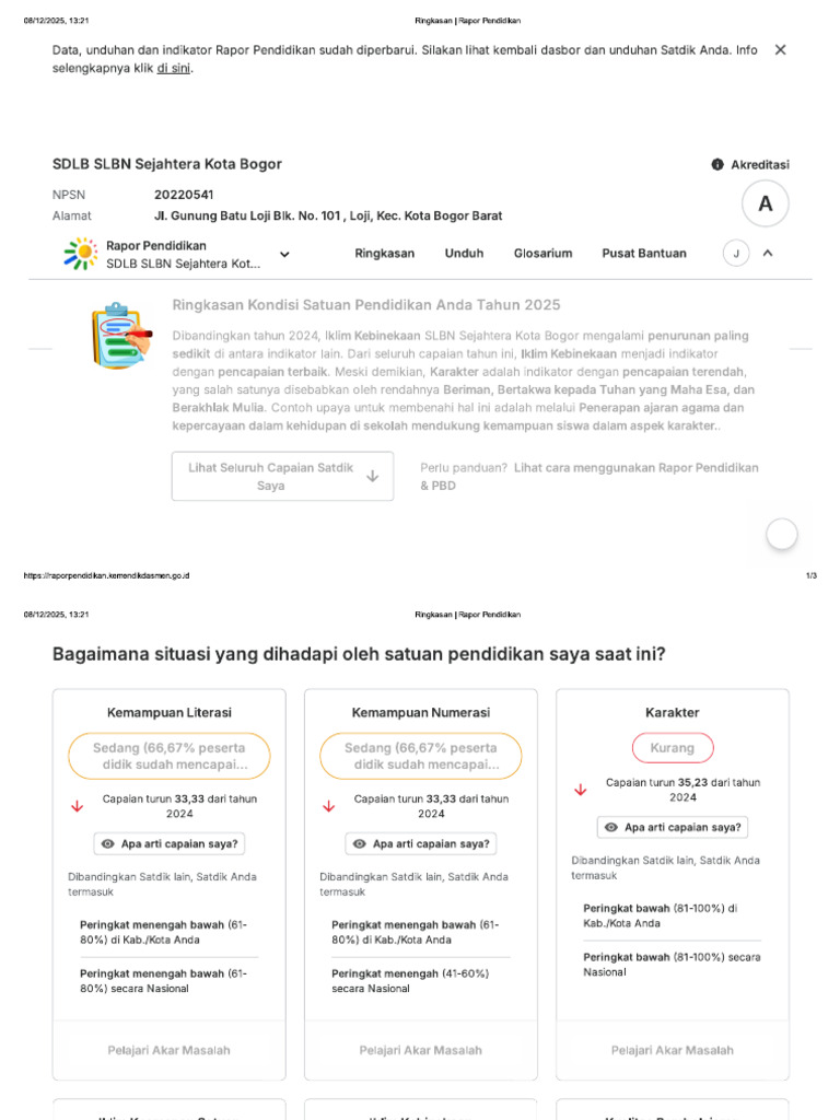 Raport SD | PDF