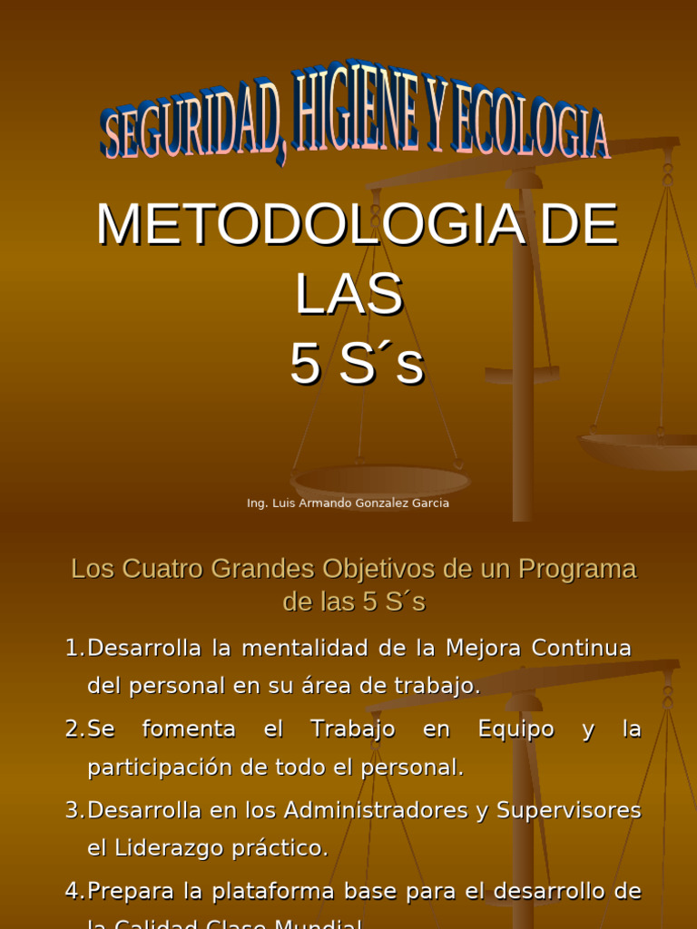 Implementación de las 5 S's en Empresas | PDF