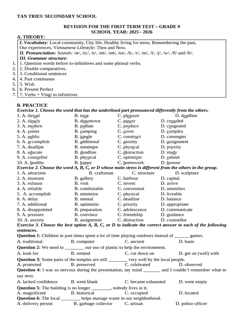 Grade 9 Term Test Revision Guide | PDF | Traffic Congestion | Road