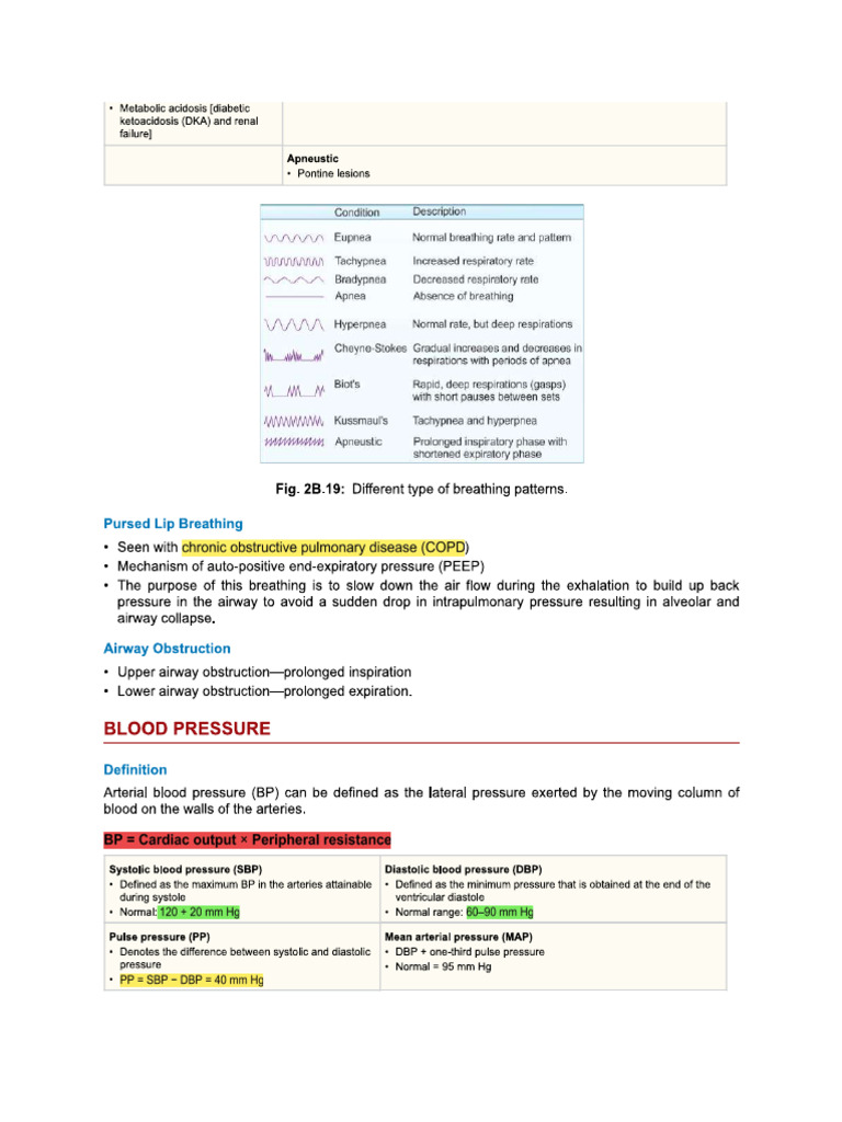 BP | PDF