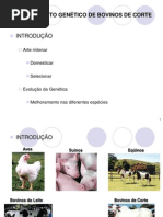 Aula 1 Melhoramento de Bovinos de Corte