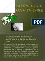 Legalización de la Marihuana en Chile (2)