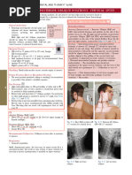 Cervical Spine Palpation Guide | PDF | Vertebra | Neck