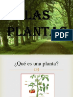 Las Plantas