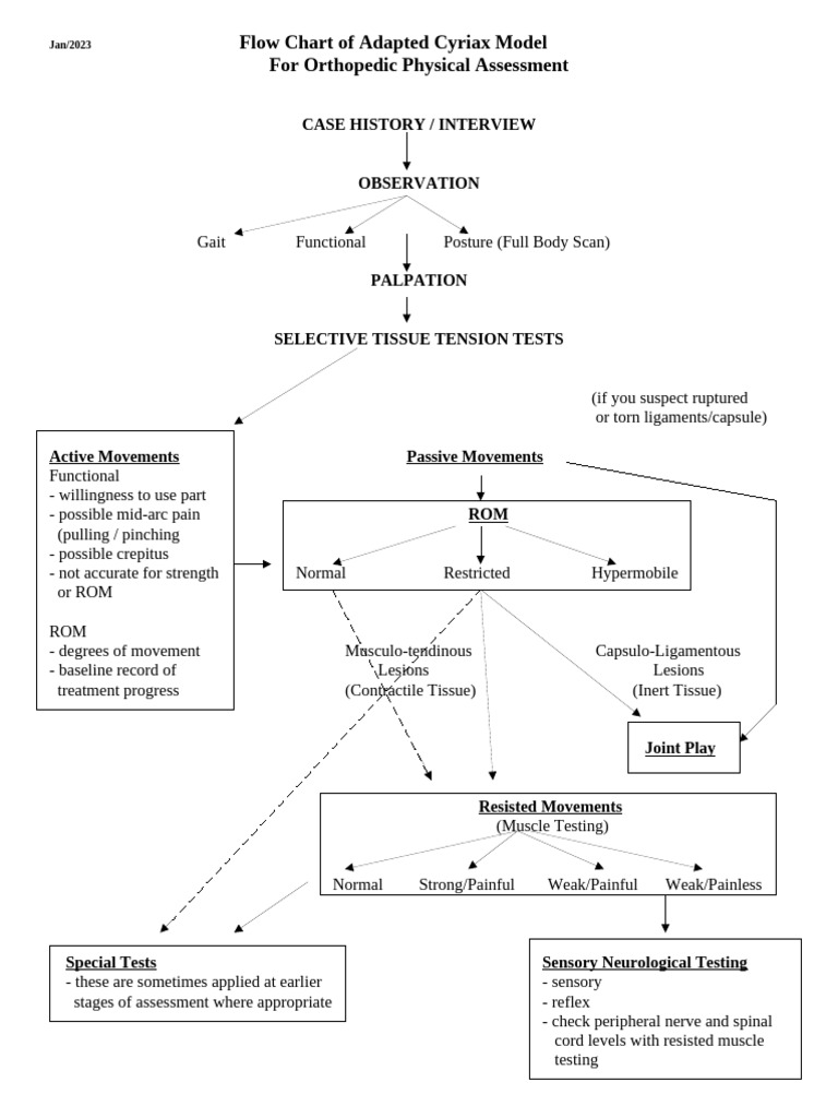 Cyriax Model Flow Chart for Assessment | PDF