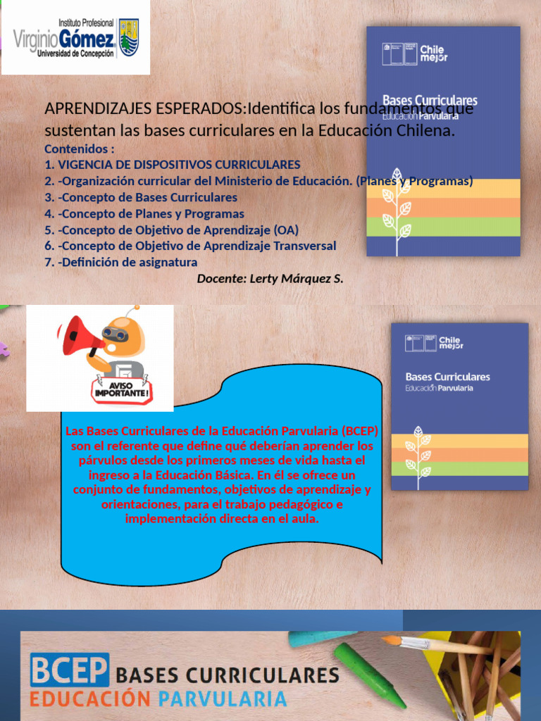 Bcep (2) | PDF | Plan de estudios | Educación de la primera infancia