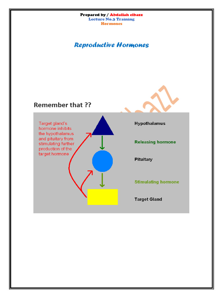 Overview of Reproductive Hormones | PDF