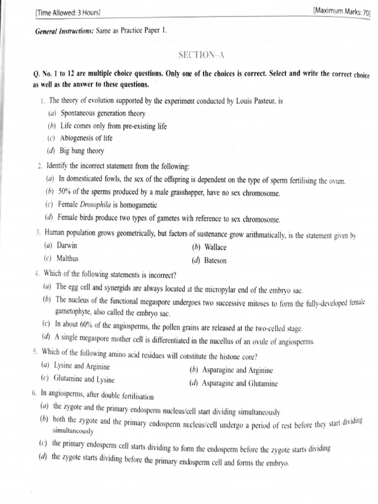 Model Test Paper 3 | PDF