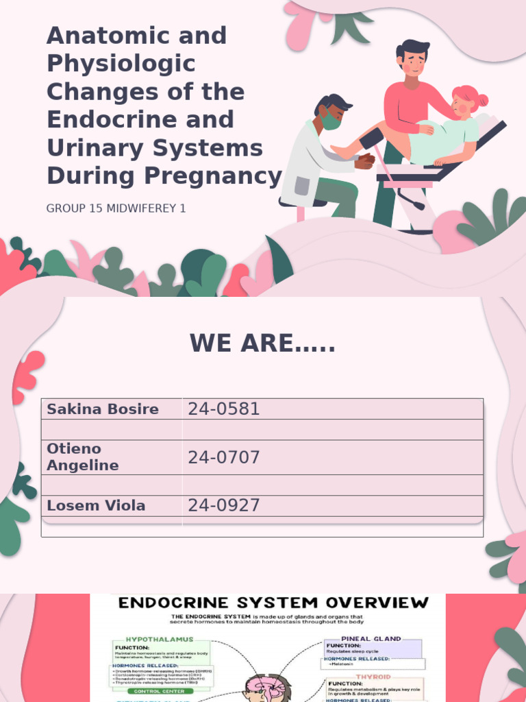 Endocrine & Urinary Changes in Pregnancy | PDF | Endocrine System | Kidney