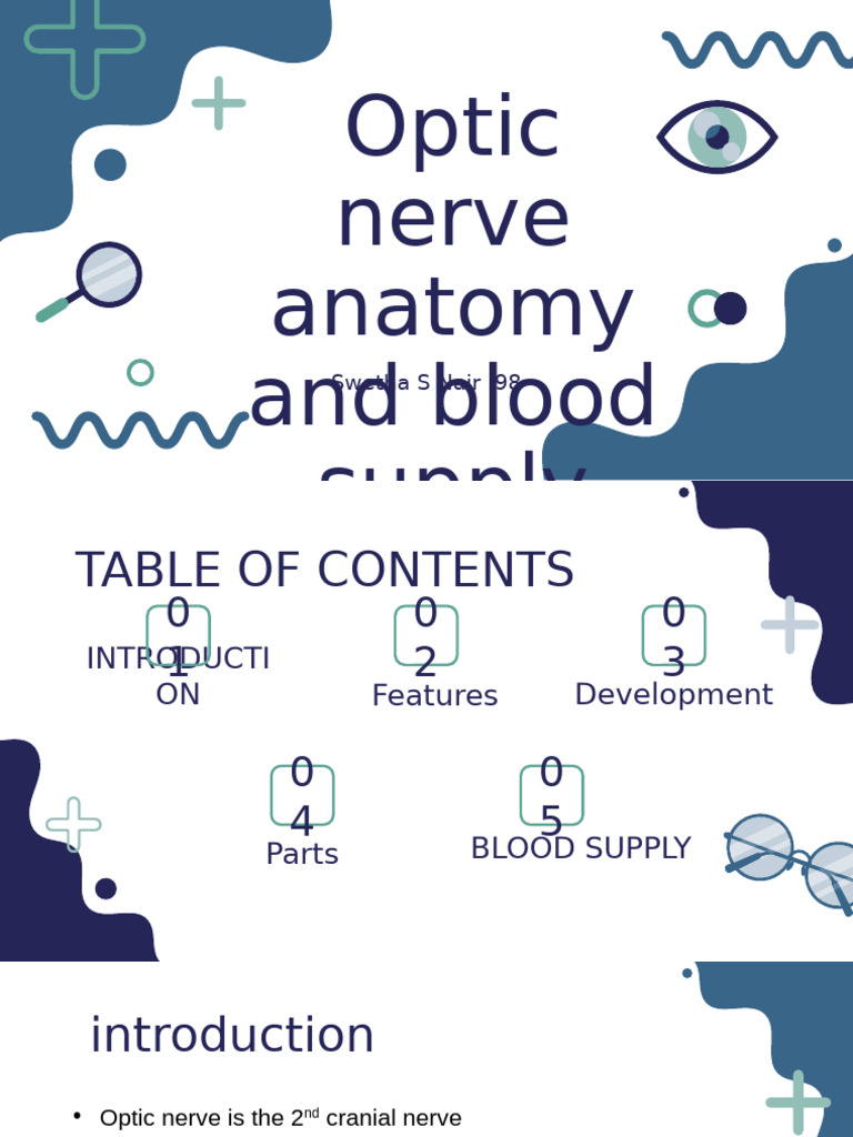 Optic Nerve Anatomy and Blood Supply | PDF | Nerve | Nervous System