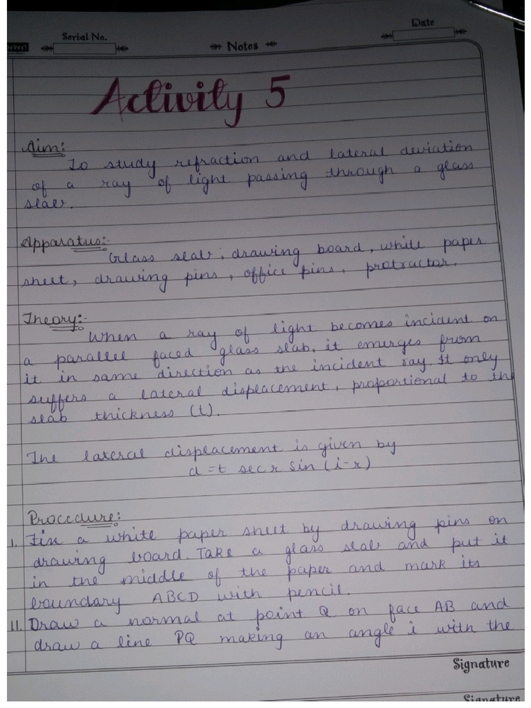 Activity 5 | PDF