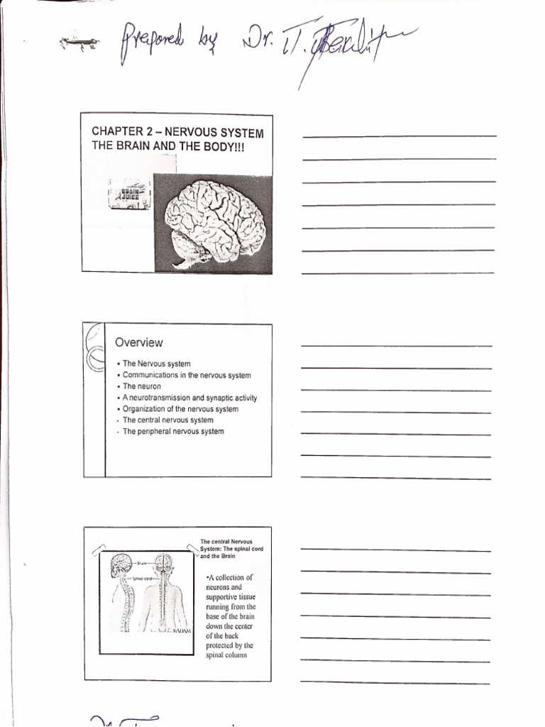 Physiology Chap 2 | PDF