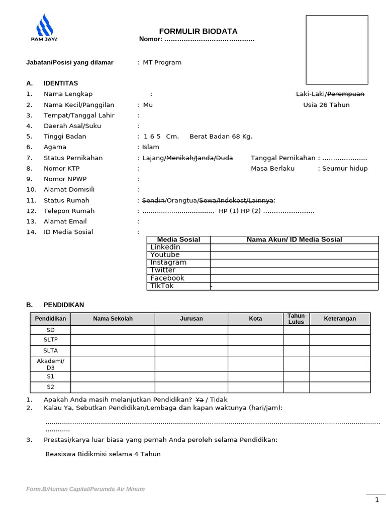 Formulir Biodata Lamaran MT Program | PDF