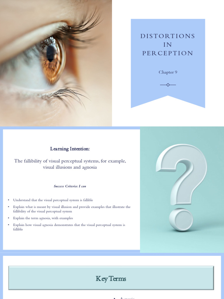 Visual Perception Distortions Explained | PDF | Taste | Senses