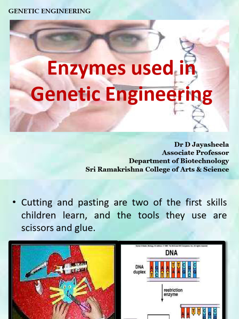 Enzymes in Genetic Engineering Explained | PDF | Restriction Enzyme | Dna