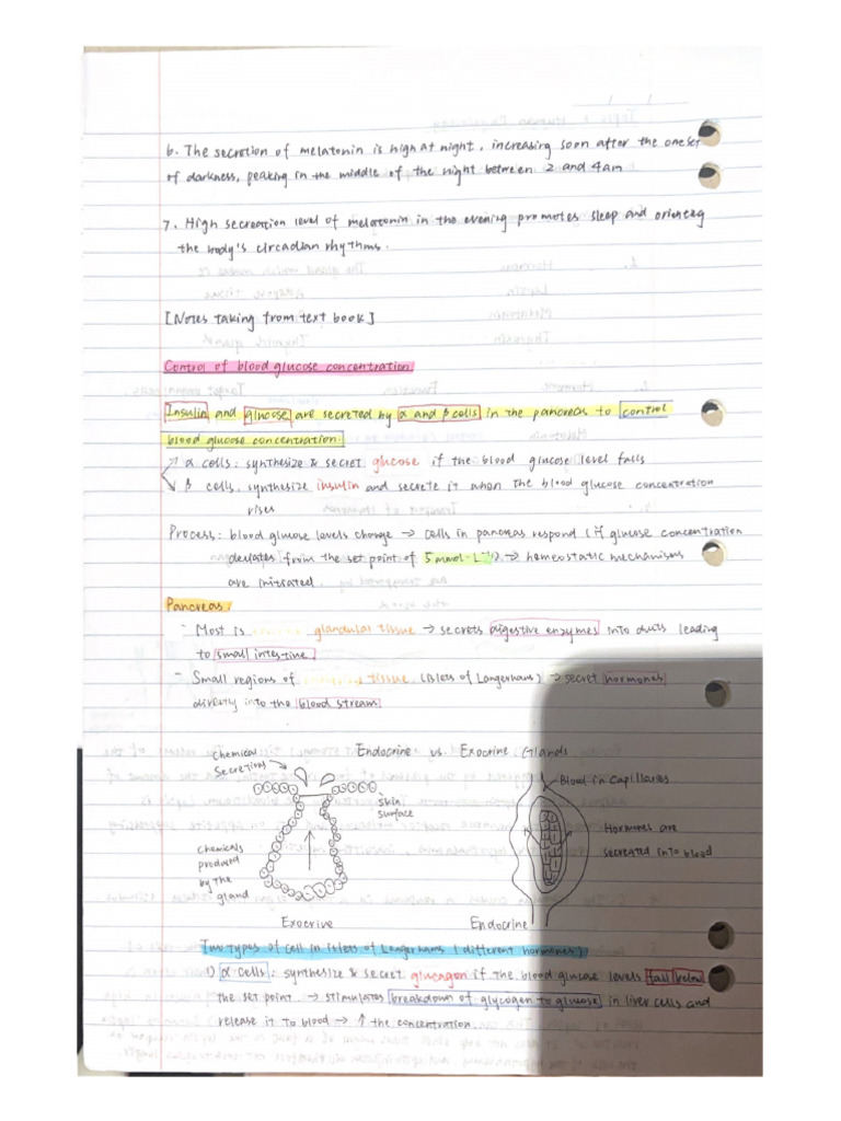 Biology Notes | PDF