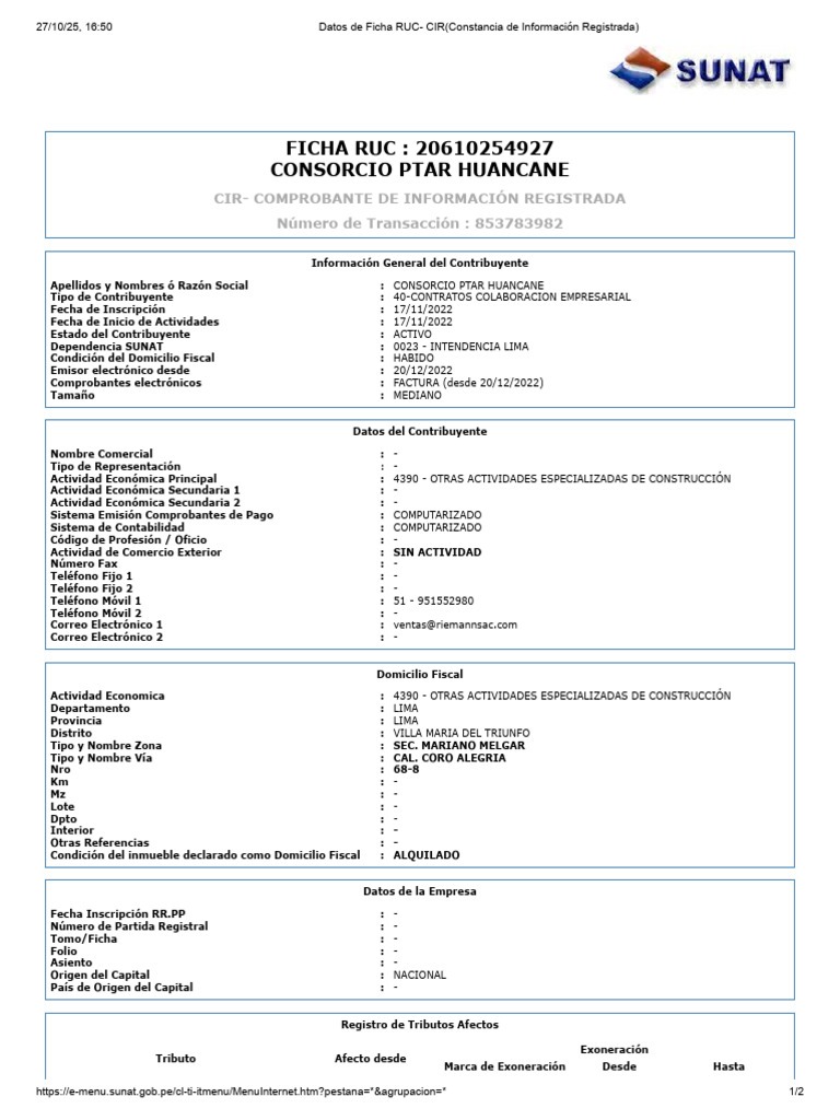 Ficha RUC del Consorcio PTAR Huancane | PDF | Industrias de servicio