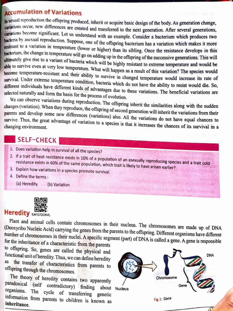 Heredity(Notes+ Activities) | PDF